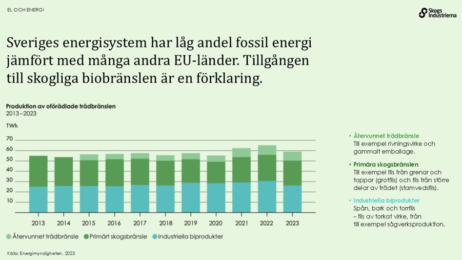 Sveriges energisystem har till låg andel fossil energi jämfört med många andra EU-länder. Tillgången till skogliga biobränslen är en förklaring.