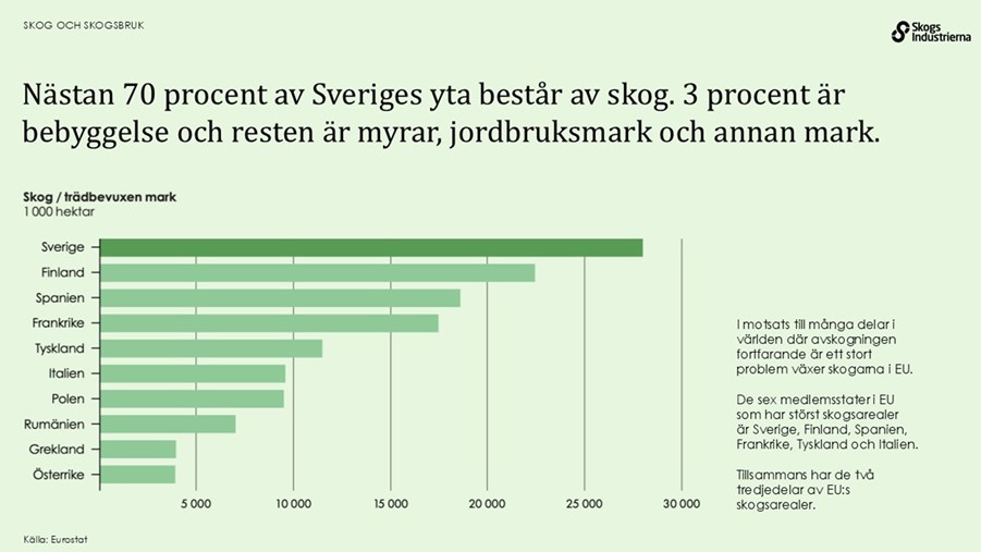 Nästan 70 procent av sveriges yta består av skog