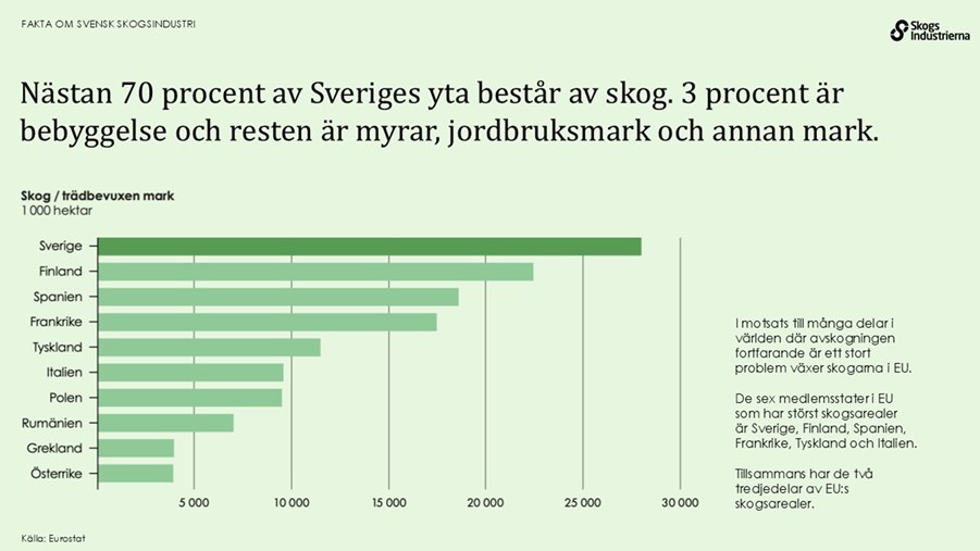 Nästan 70 procent av sveriges yta består av skog