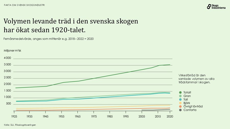 Volymen levande träd i den svenska skogen har ökat sedan 1920-talet