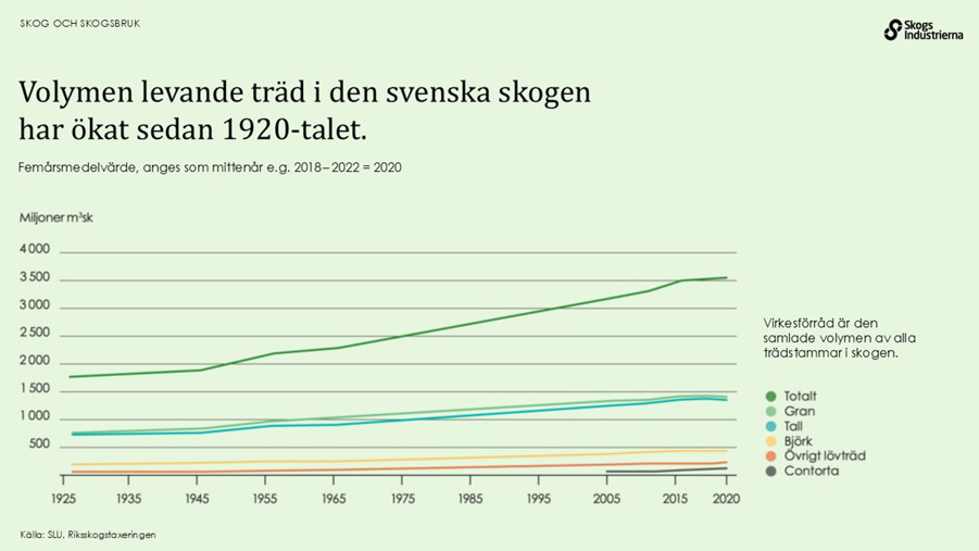 Volymen levande träd i den svenska skogen har ökat sedan 1920-talet