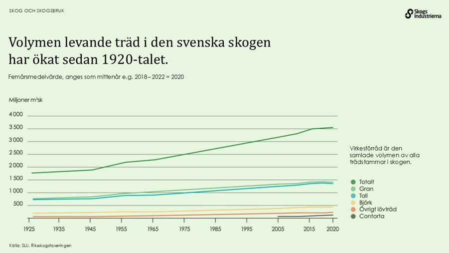 Volymen levande träd i den svenska skogen har ökat sedan 1920-talet