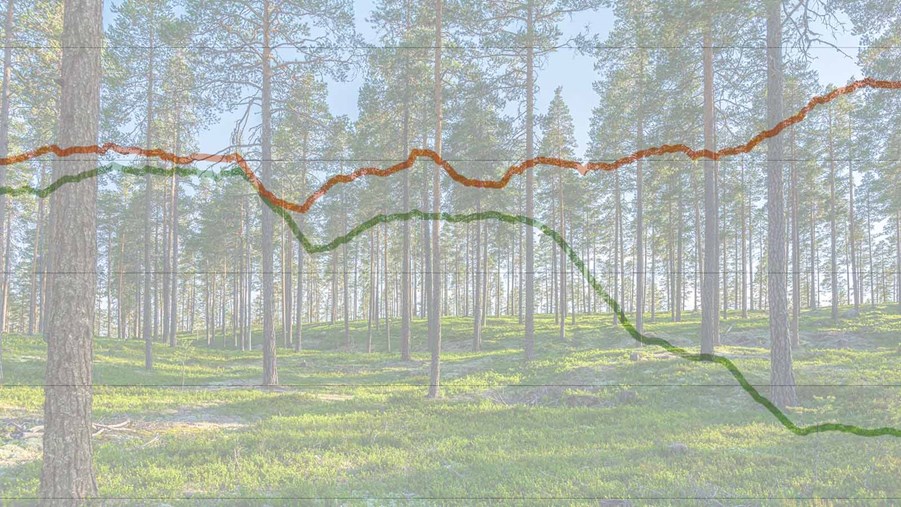 linjediagram som ligger över en skog